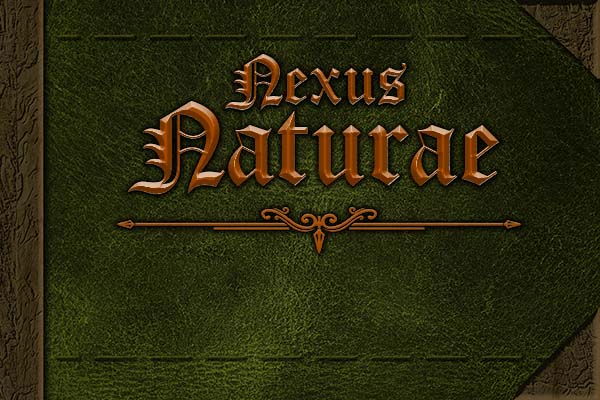 Première de couverture du Nexus Naturae